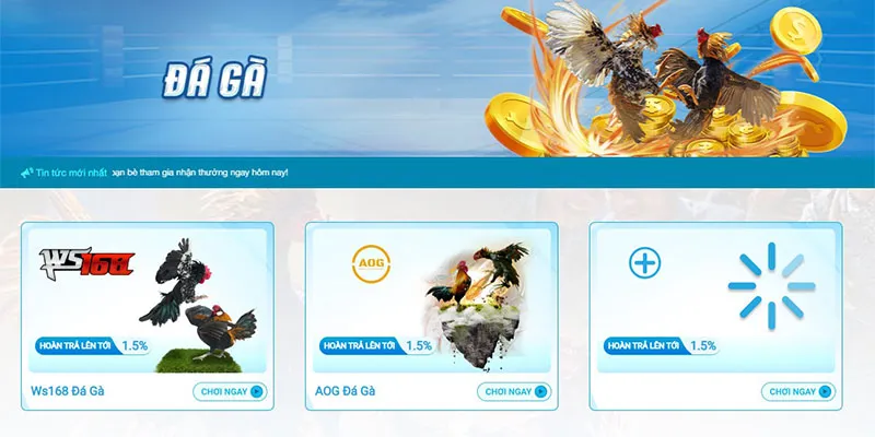 Tổng quan chi tiết về sảnh đá gà Hi88 