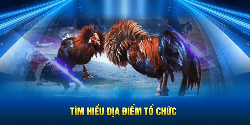 Tìm hiểu địa điểm tổ chức